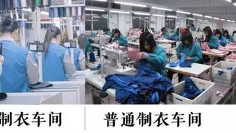 服裝行業(yè)哀鴻遍野，這家中國企業(yè)卻火遍全球